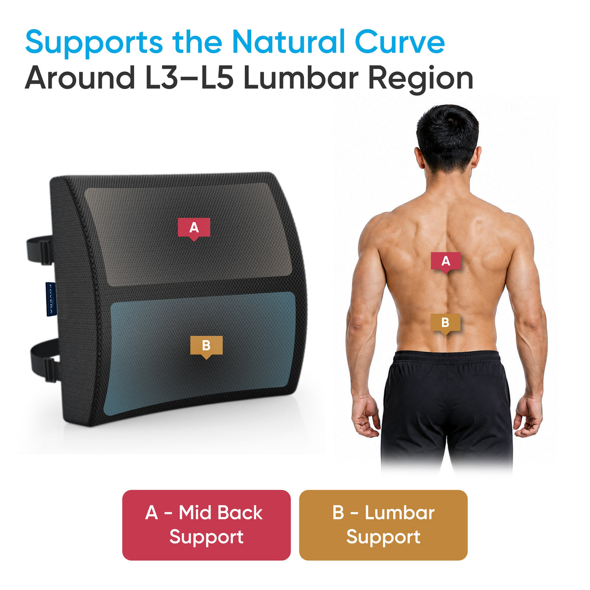 Orthopedic Memory Foam Lumbar Support Cushion for Chair