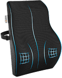 Back Rest Cushion for Chair and Car Seat
