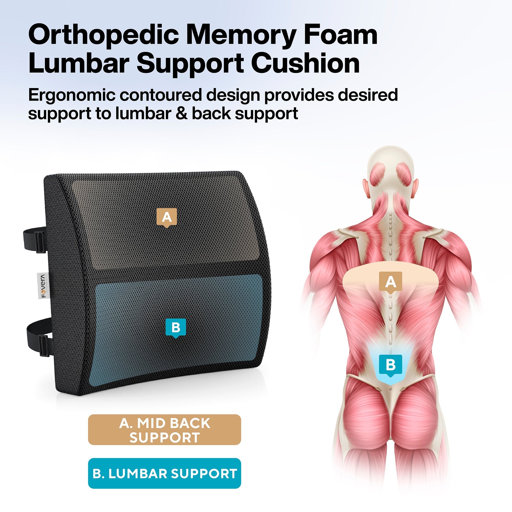 Buy Lumbar Support Memory Foam Cushion Designed for Back Pain