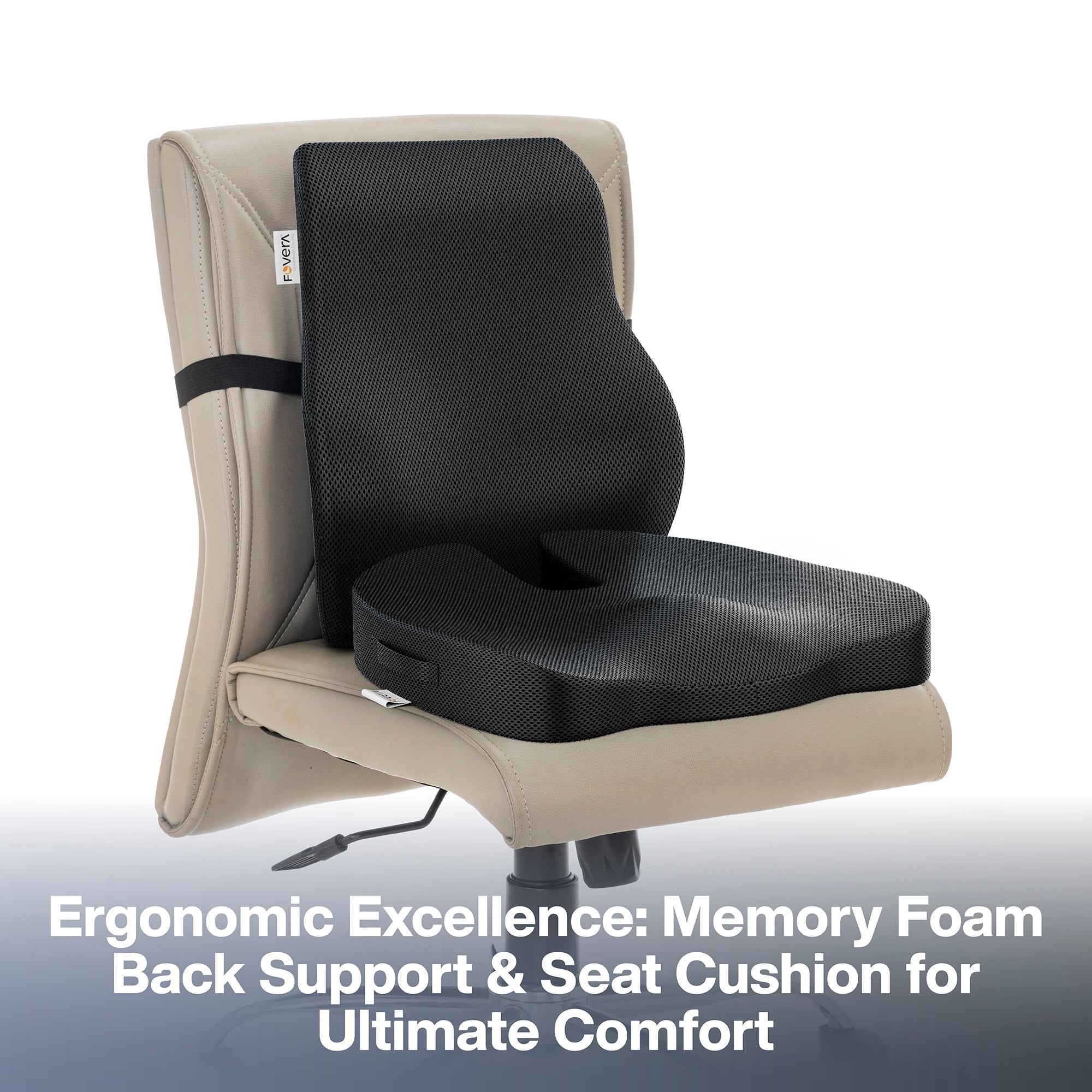 FOVERA Back Support for Chair & Coccyx Seat Cushion for Tailbone Combo