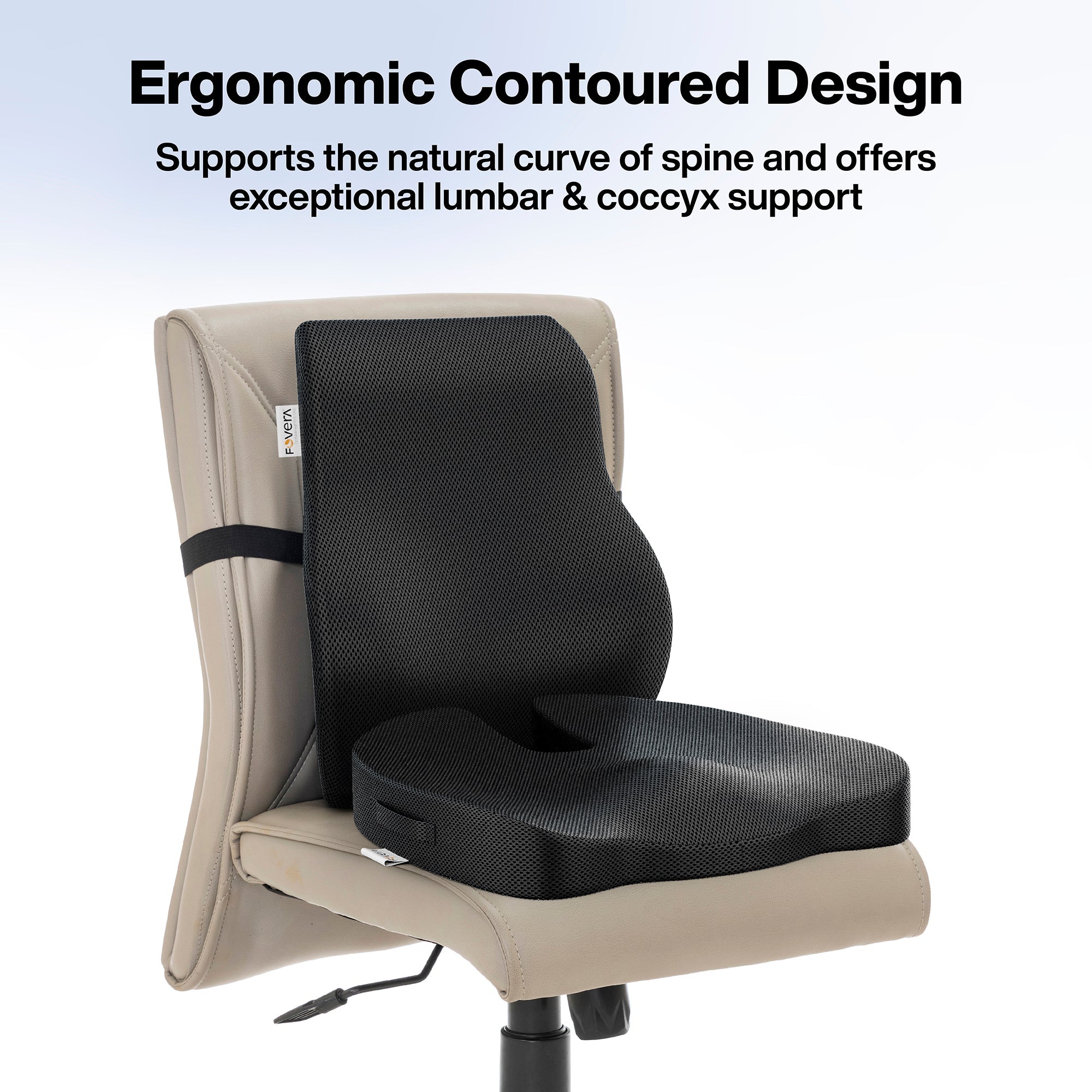 FOVERA Back Support for Chair & Coccyx Seat Cushion for Tailbone Combo